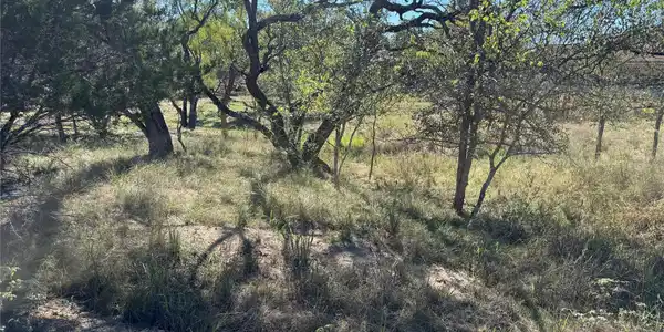 Image 3 Image 3