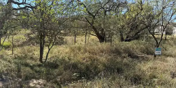 Image 4 Image 4
