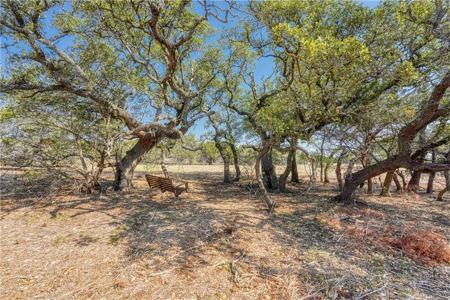 221 Wandering Oaks CIR