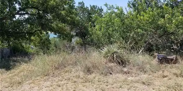 00 Morgan Creek