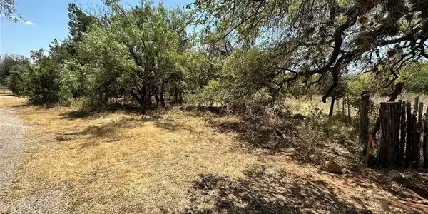 TBD Forest DR