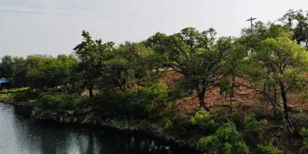 Lot 5 Lake DR