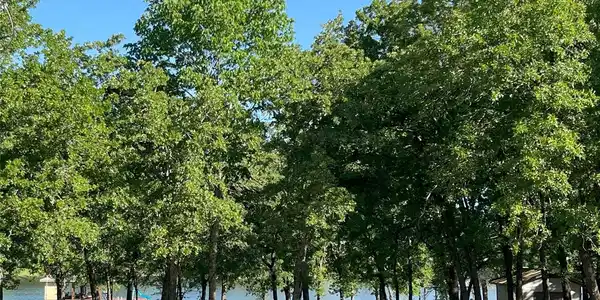 00 Stacey's Landing RD