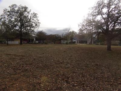 Lot 27 E Castleshoals