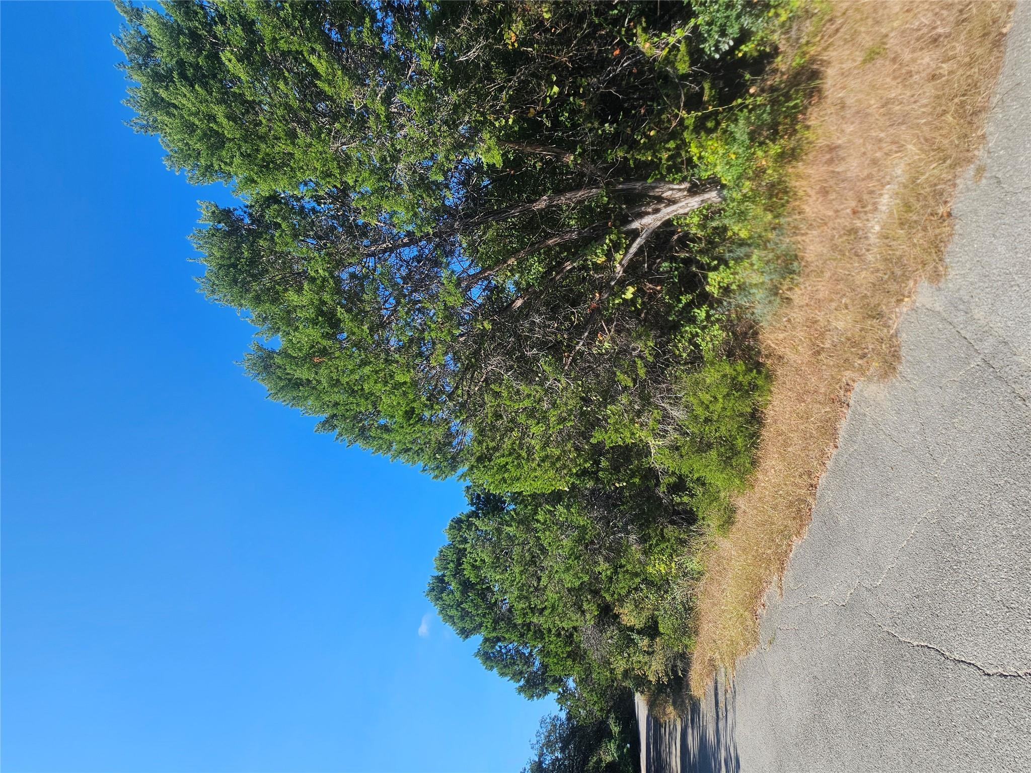 Image 2 Image 2