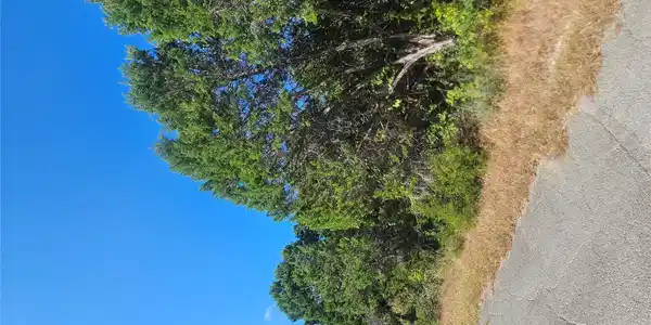 Image 2 Image 2