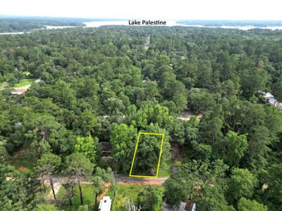Lot 201 Young ST
