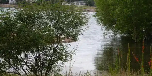 lot 19 Oleander Dr