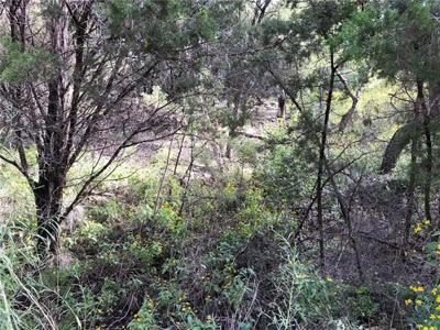 14513 Hunters Pass