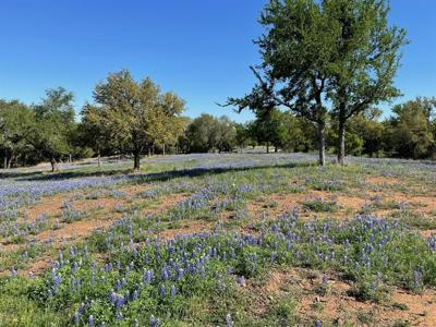 Lot 118 Overlook PKWY