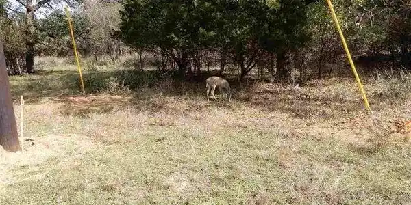 Lot 207 Pecan LN