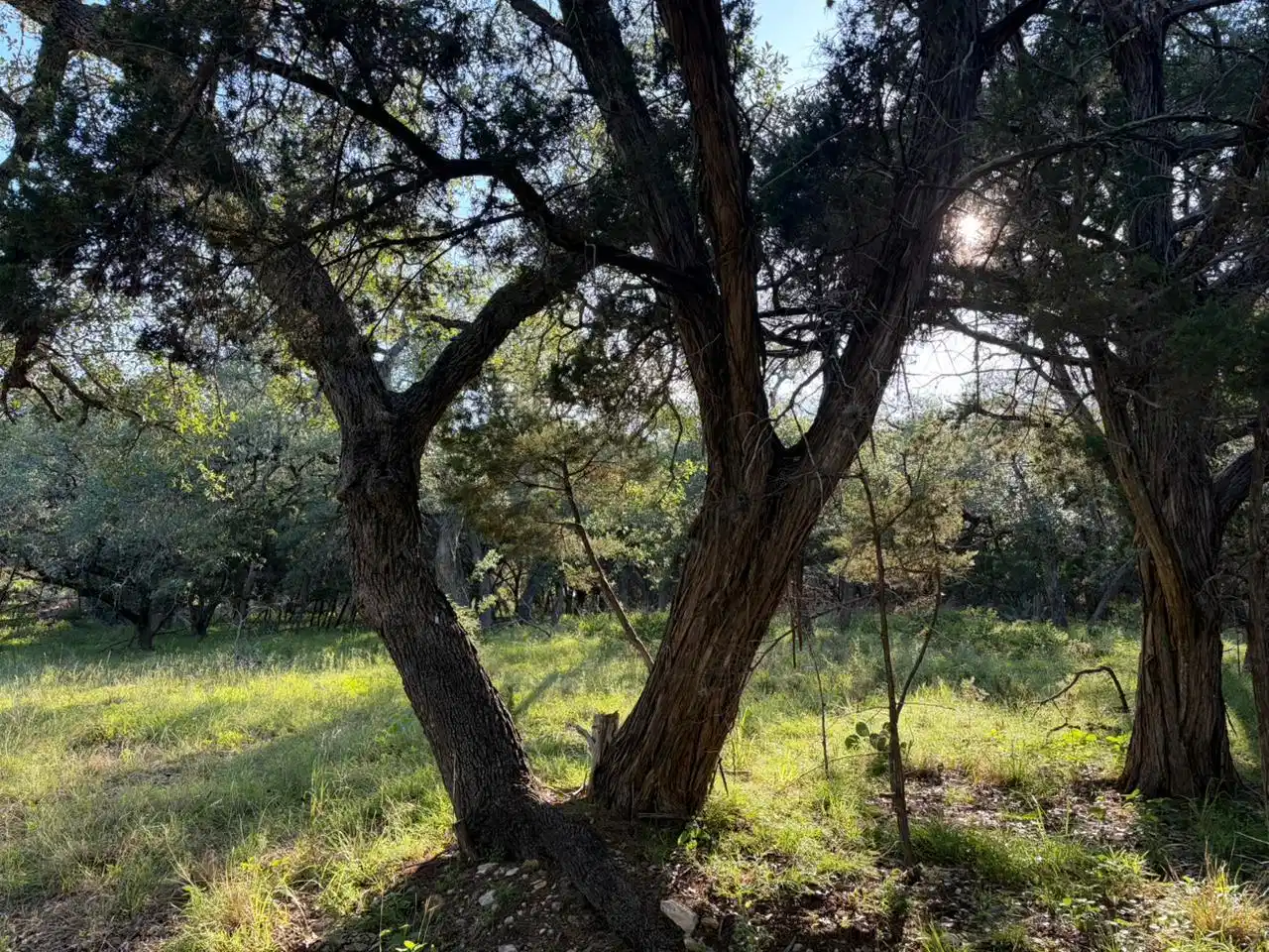 Image 1 Image 1