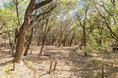 21402 Broken Bow CV