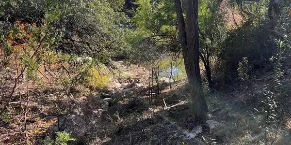 Image 4 Image 4