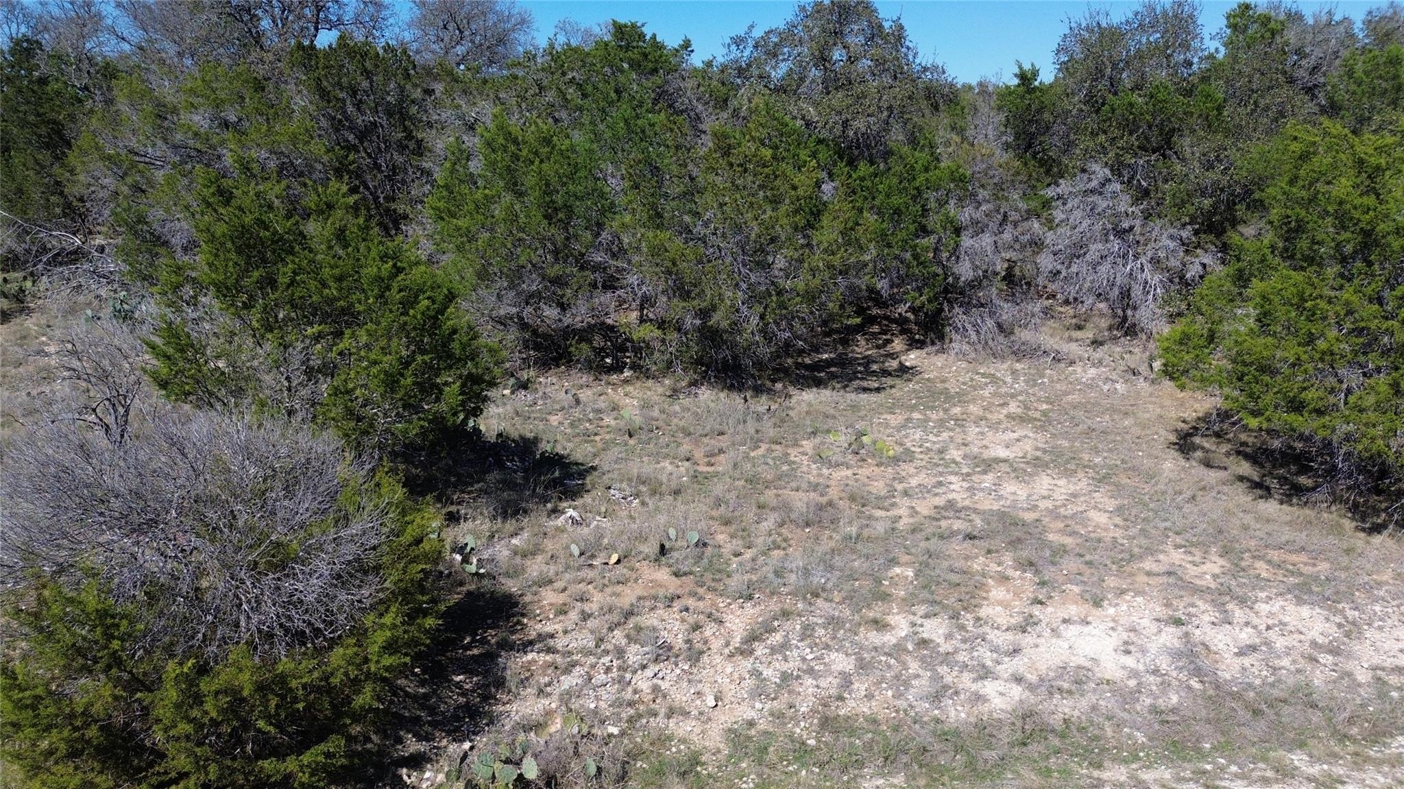 Image 4 Image 4