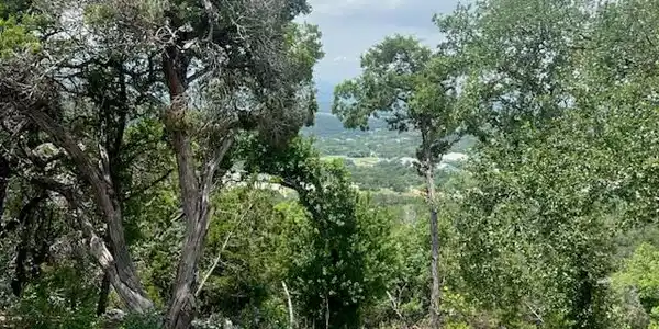 Image 2 Image 2