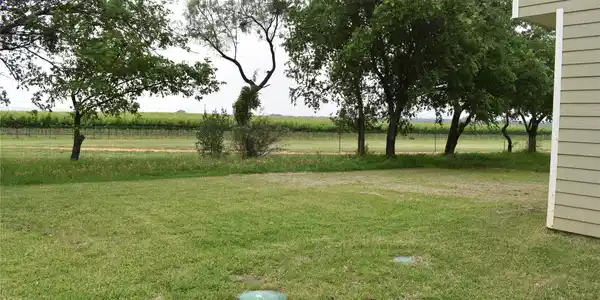 Image 4 Image 4