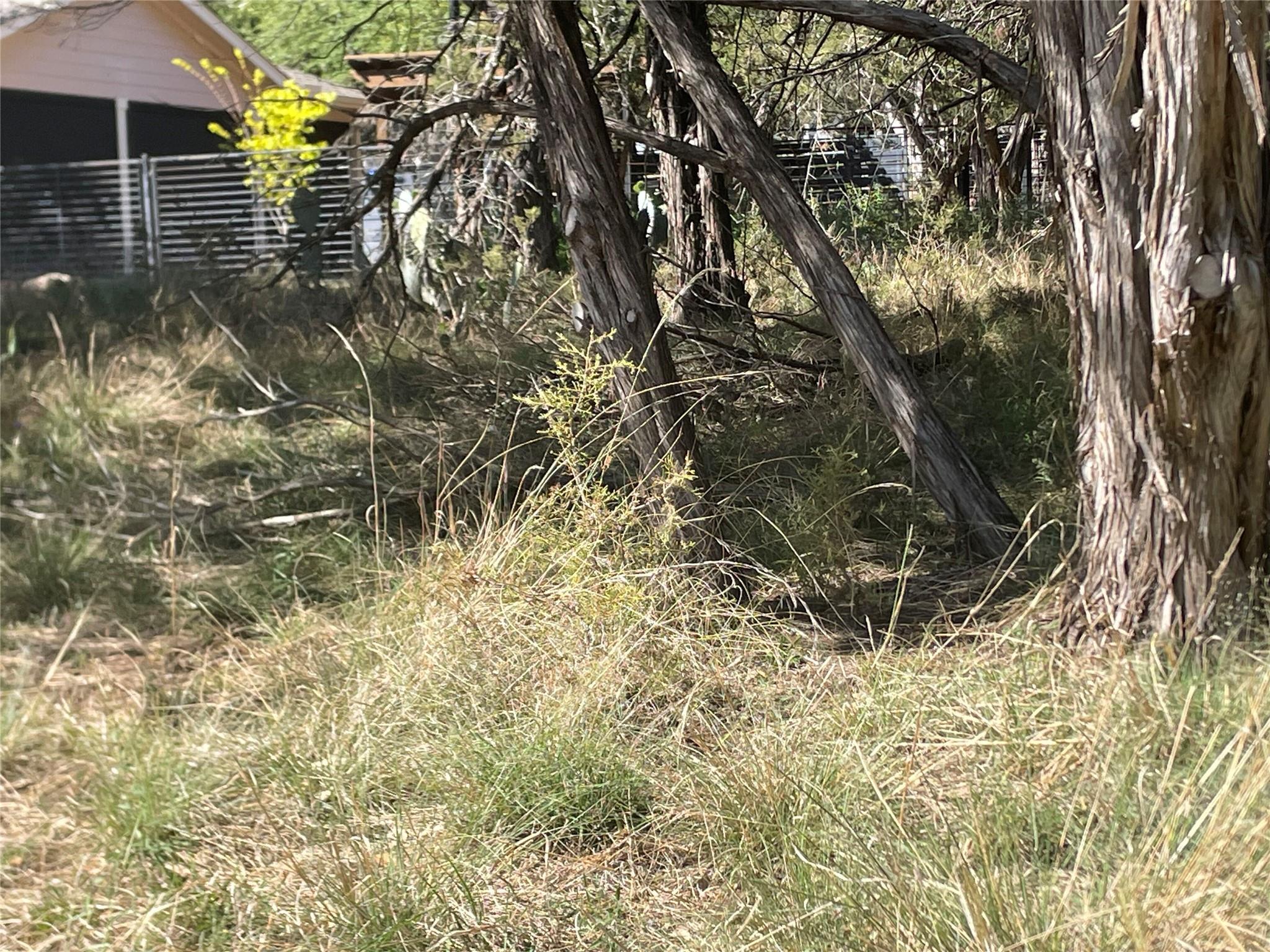 Image 2 Image 2