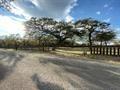 Lot 283A & 285A Forest Oaks DR