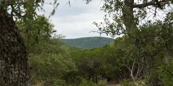 Lot ER 8 Wolf Creek Ranch Rd