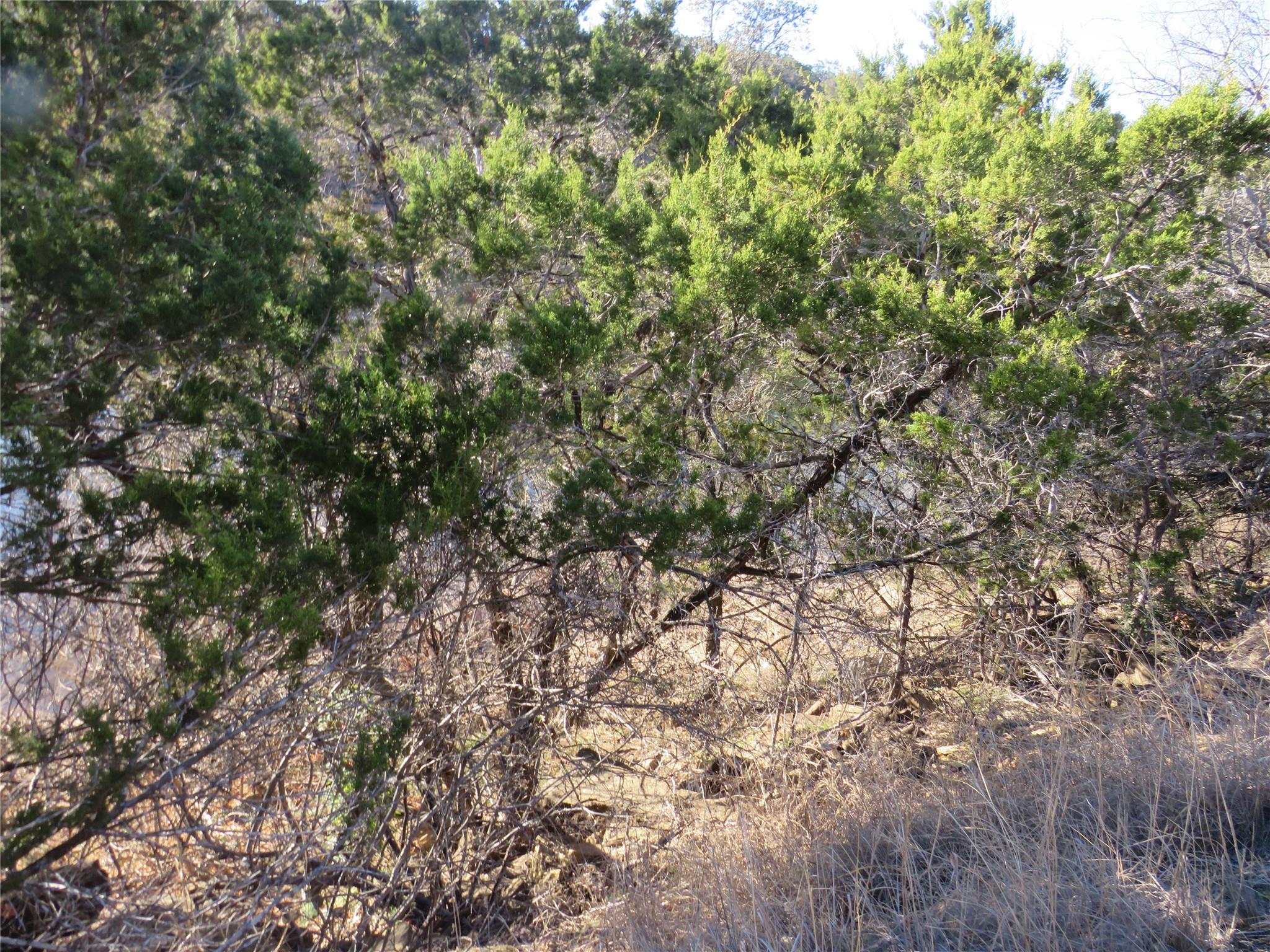 Image 3 Image 3