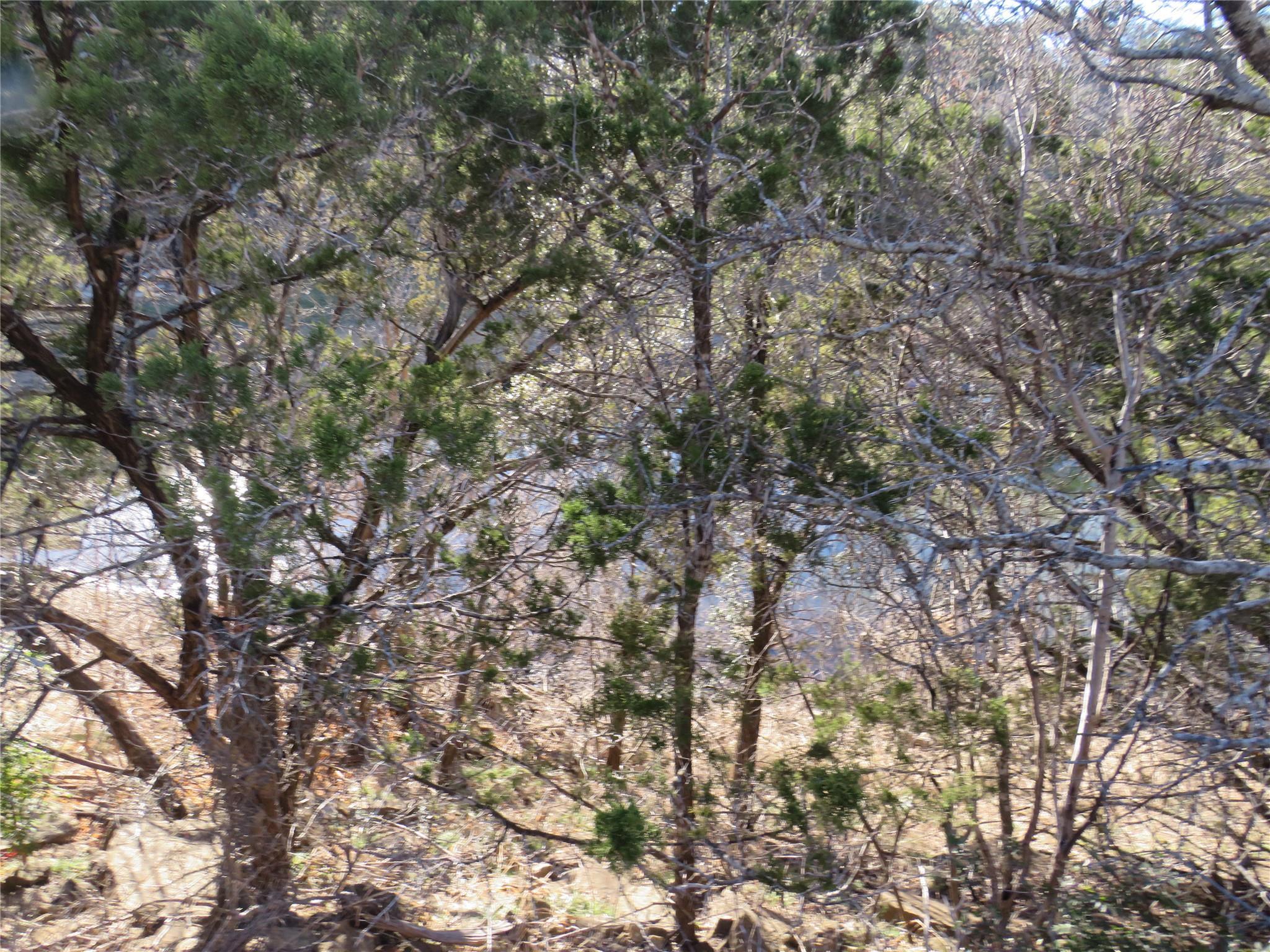 Image 4 Image 4