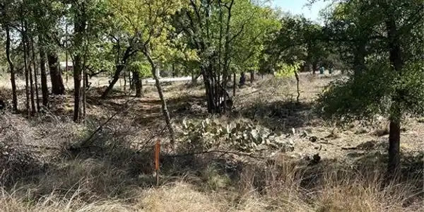TBD Magnolia LN