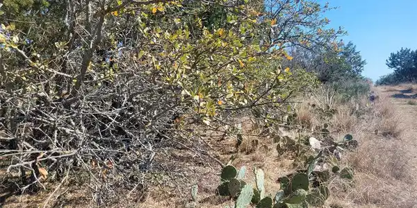 TBD Solar DR