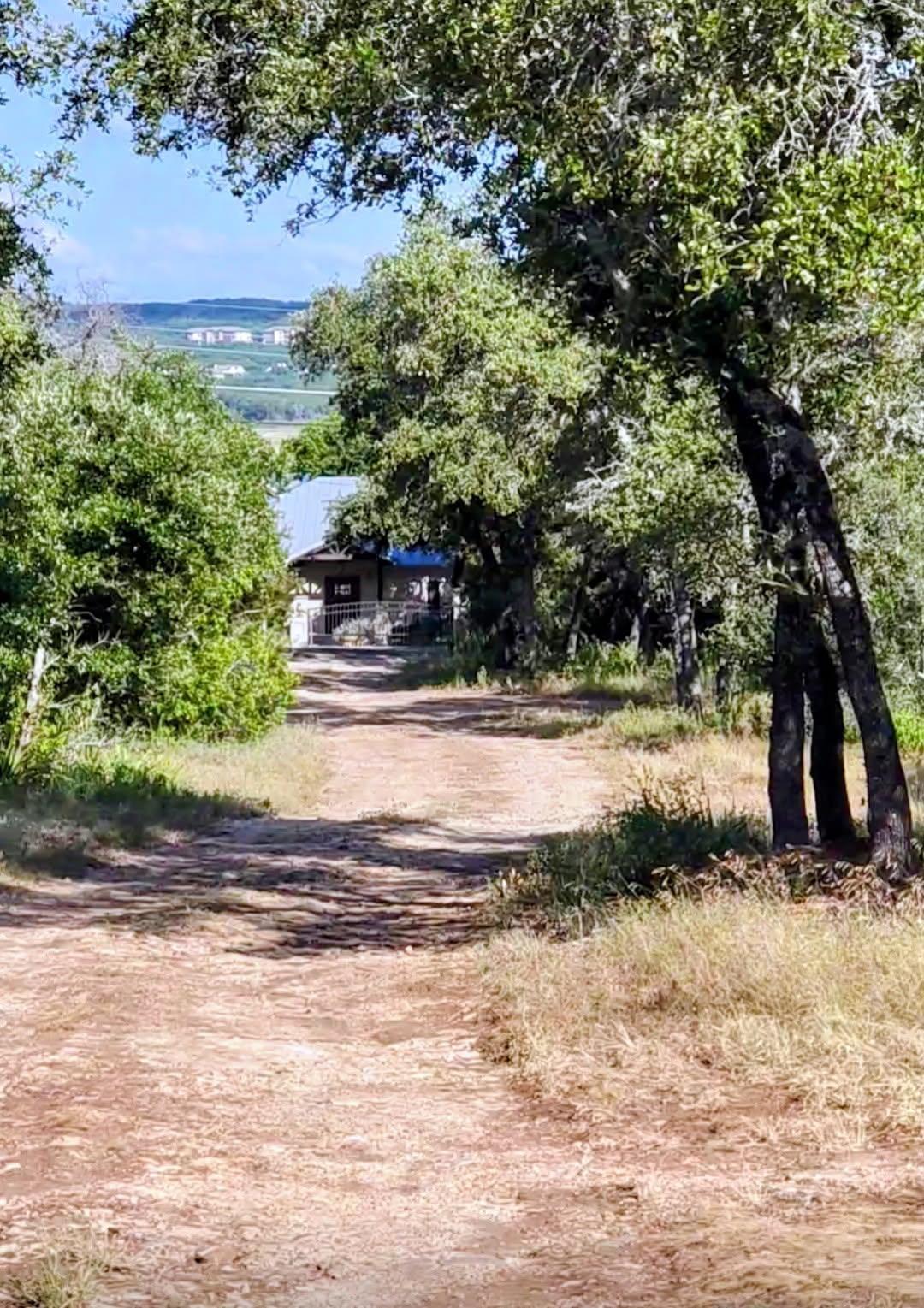 Image 3 Image 3
