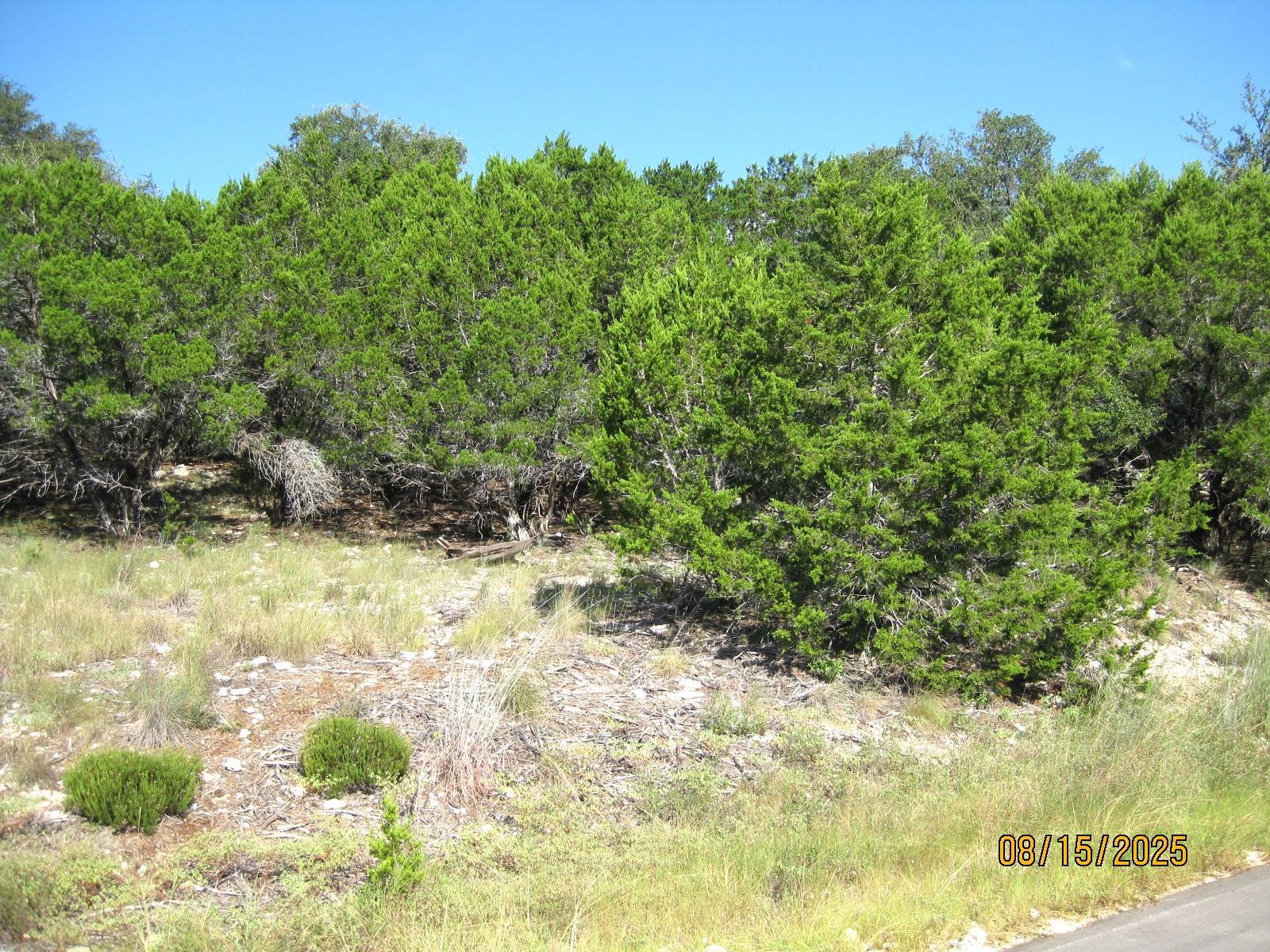 Image 3 Image 3