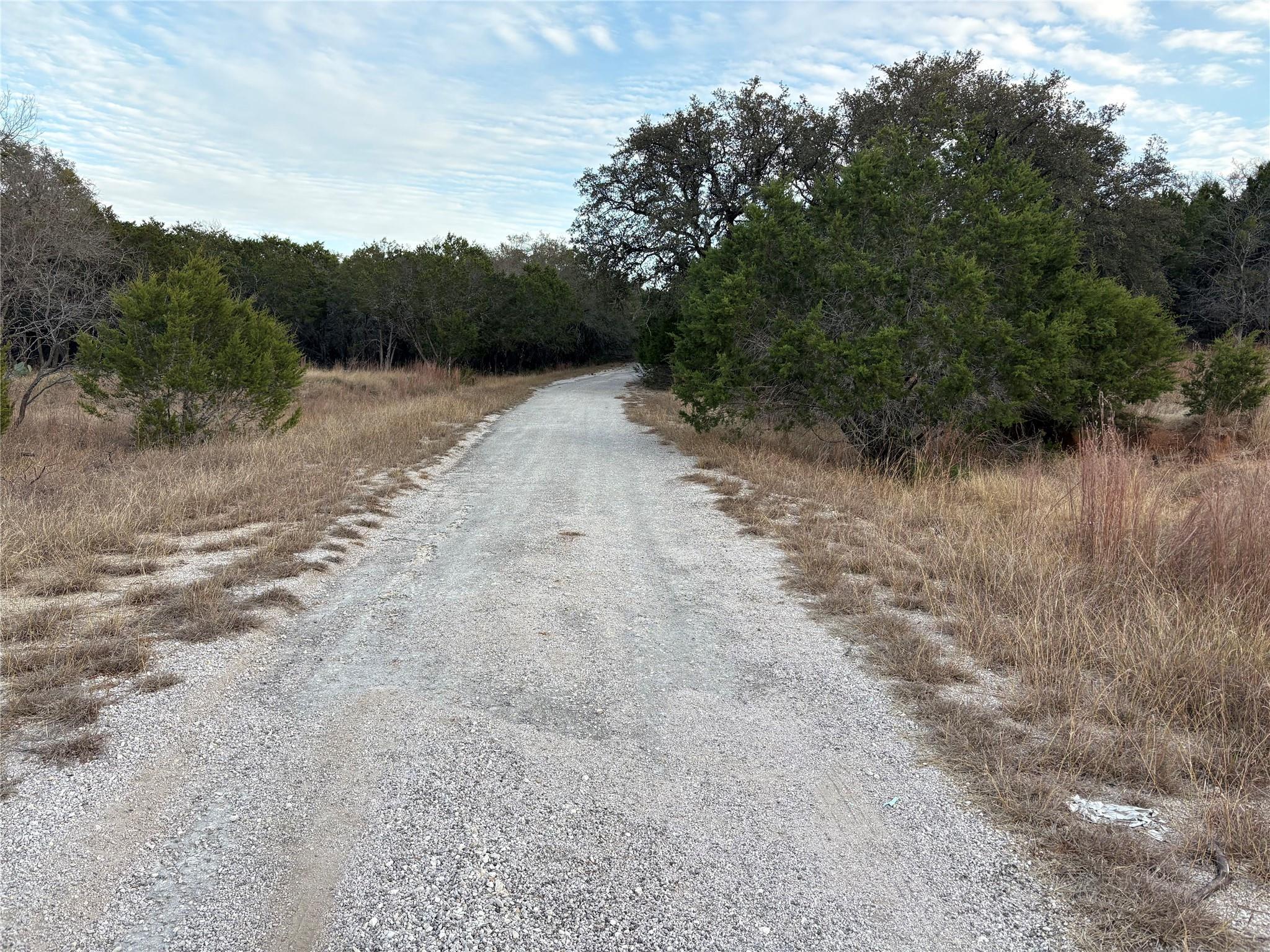 Image 4 Image 4