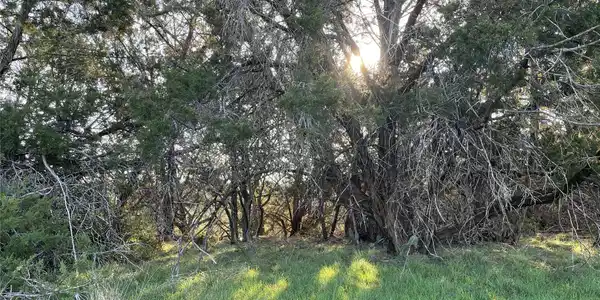 Image 4 Image 4