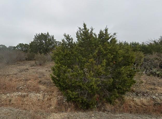 Image 4 Image 4
