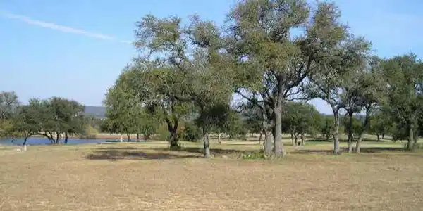 2101 Chipshot CT