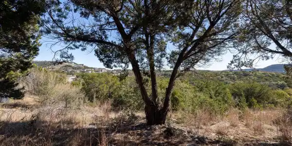 Image 4 Image 4