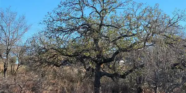 Lot 434-435 Rockcrest DR