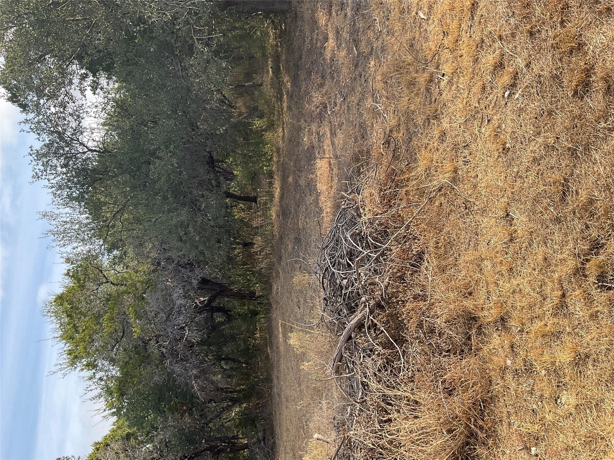 Image 4 Image 4