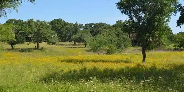 Lots 18R-20R Lake Loop