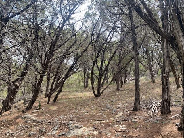 Image 4 Image 4