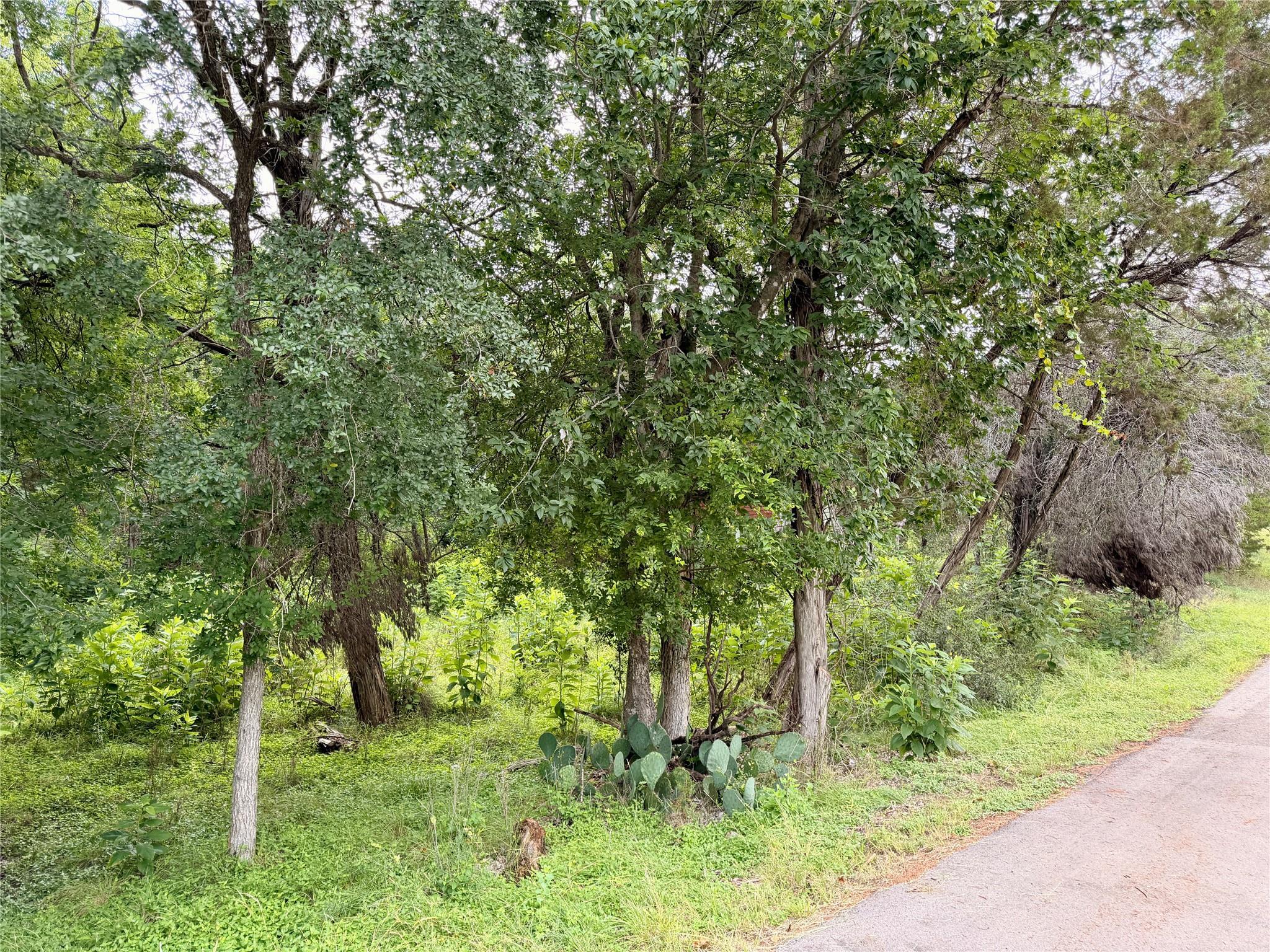 Image 4 Image 4