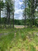 Lot # 4 Rt 26 county route