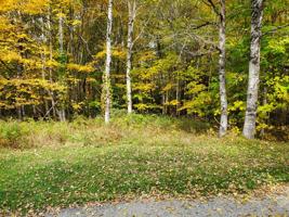 Lot 4/5 Balsam Road