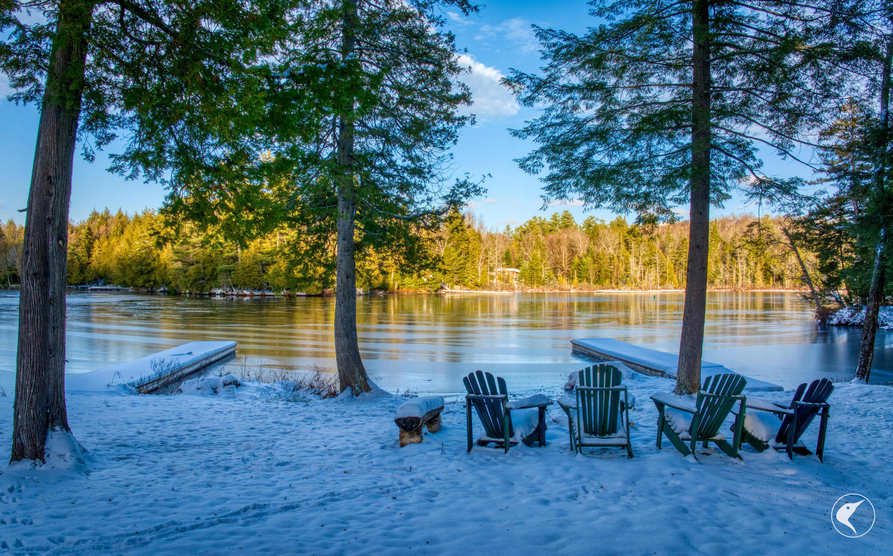 Image 1: DJI_20251119152927_0153_D