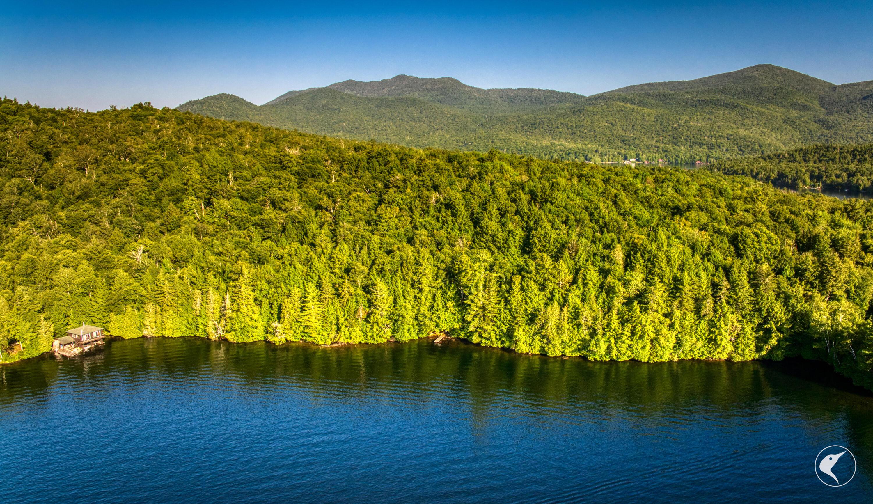 Image 1: DJI_20250811073835_0101_D