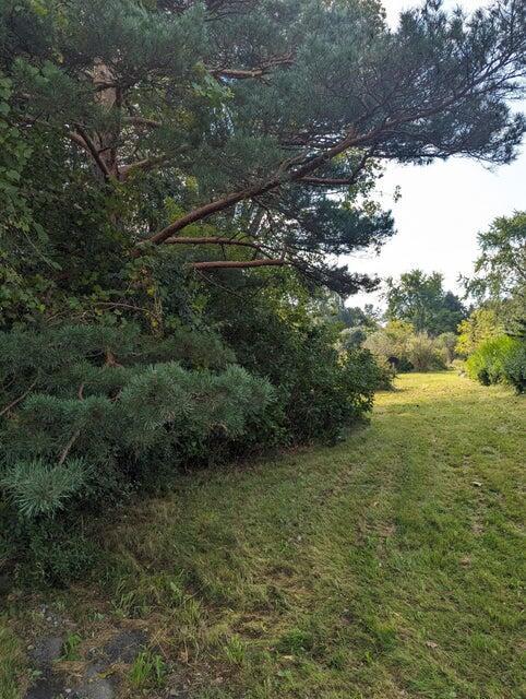 Image 2: 5