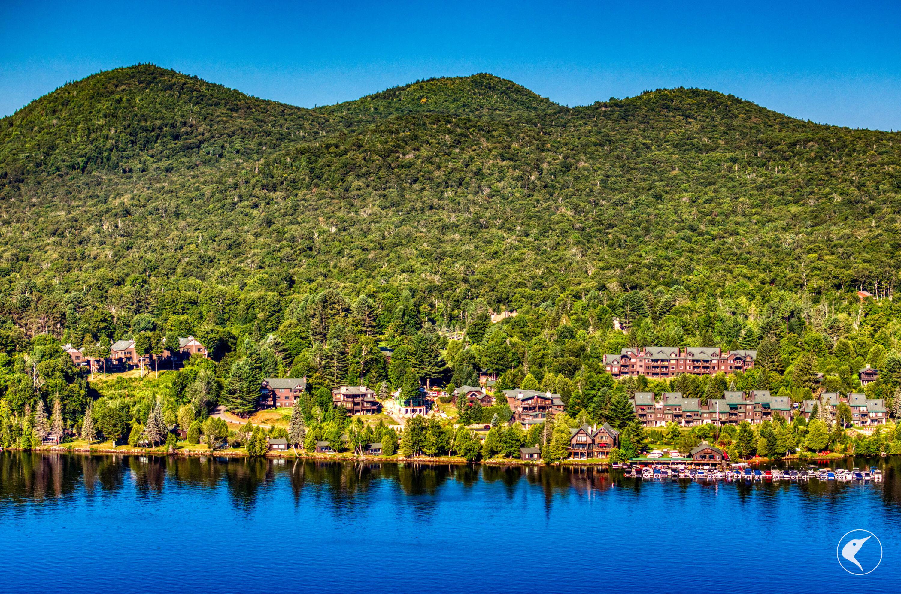 Image 4: DJI_20250815080015_0221_D
