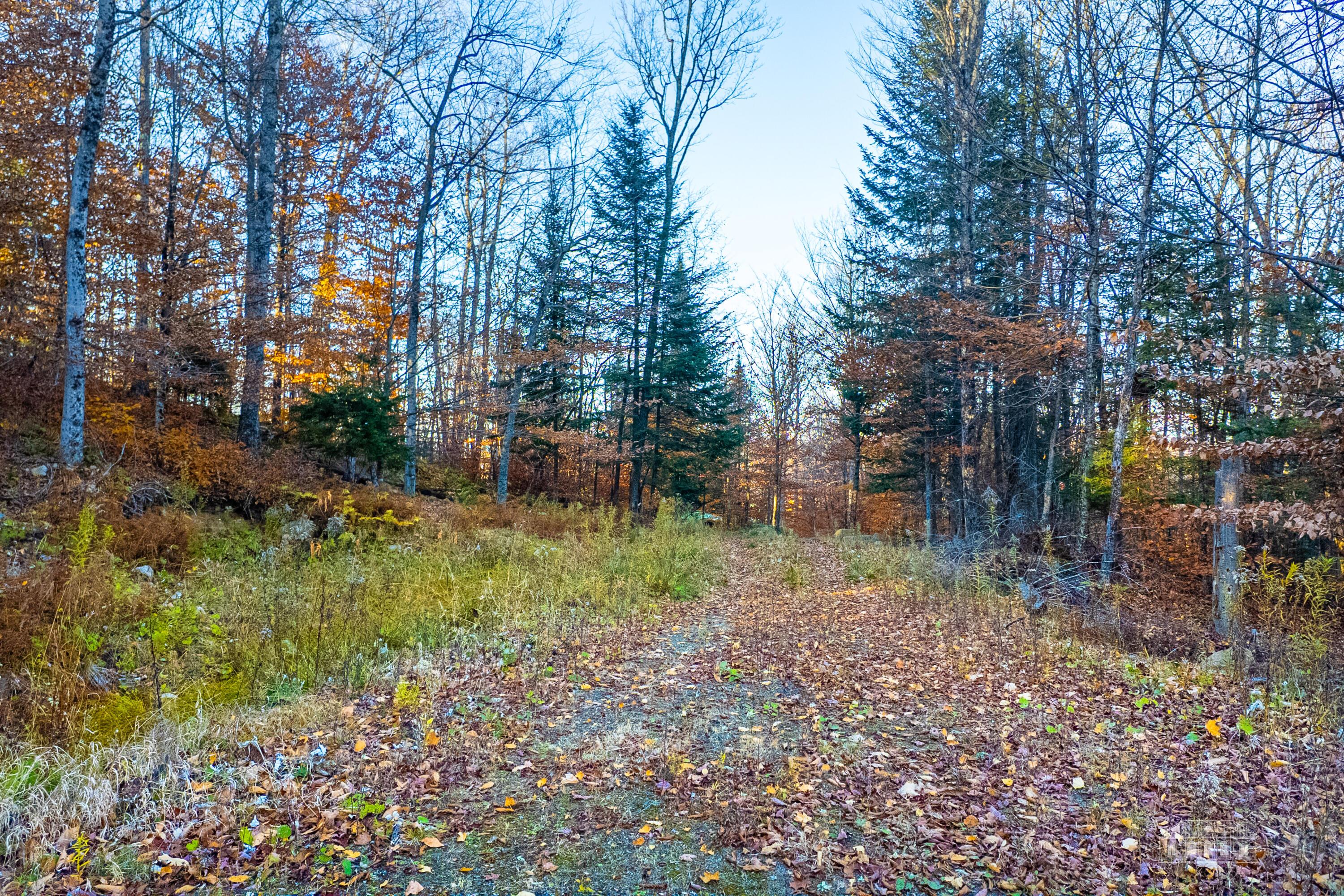 Image 3: Hawk Ridge Lot 7 SL-21