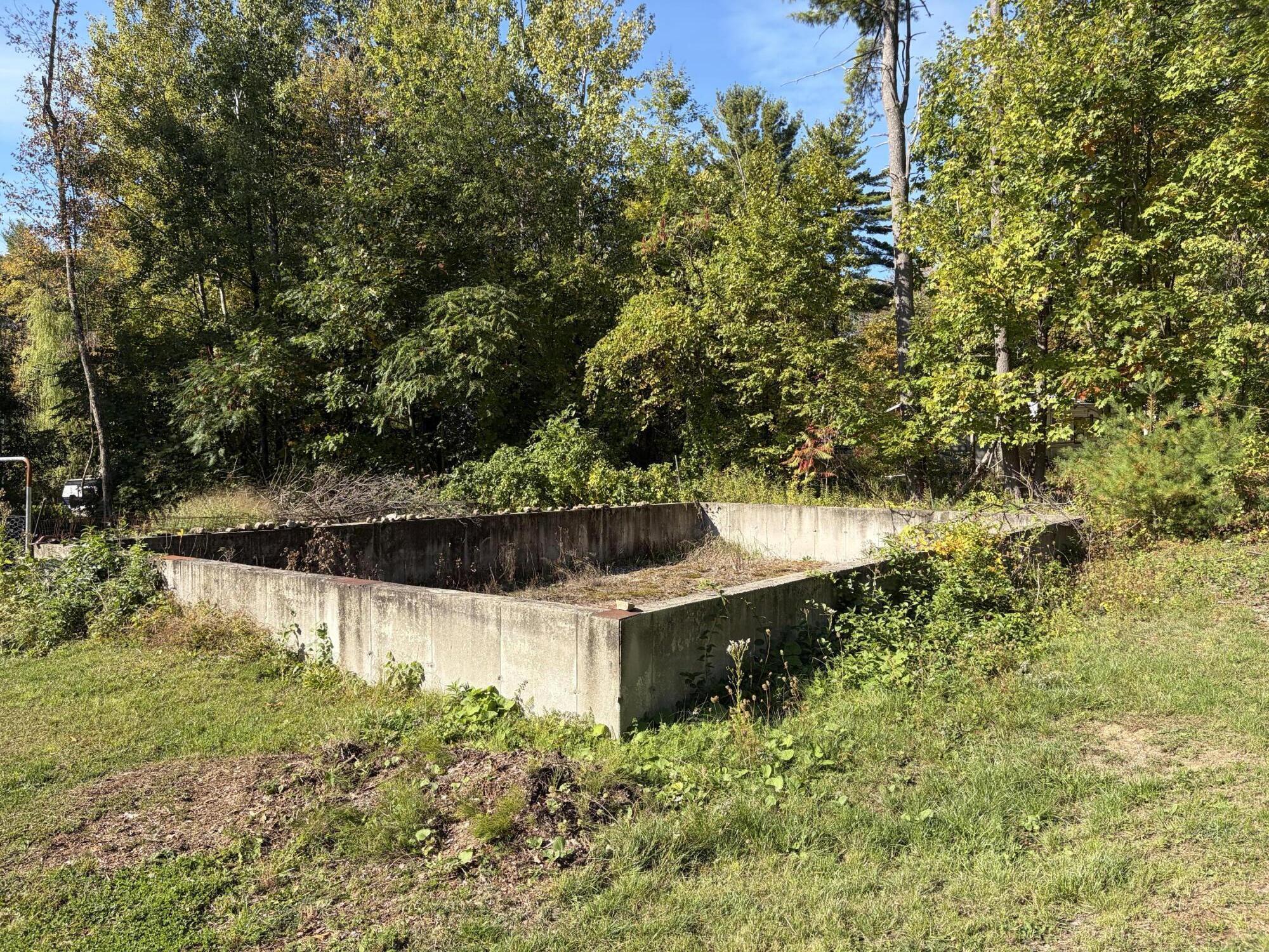 Image 3: IMG_7981