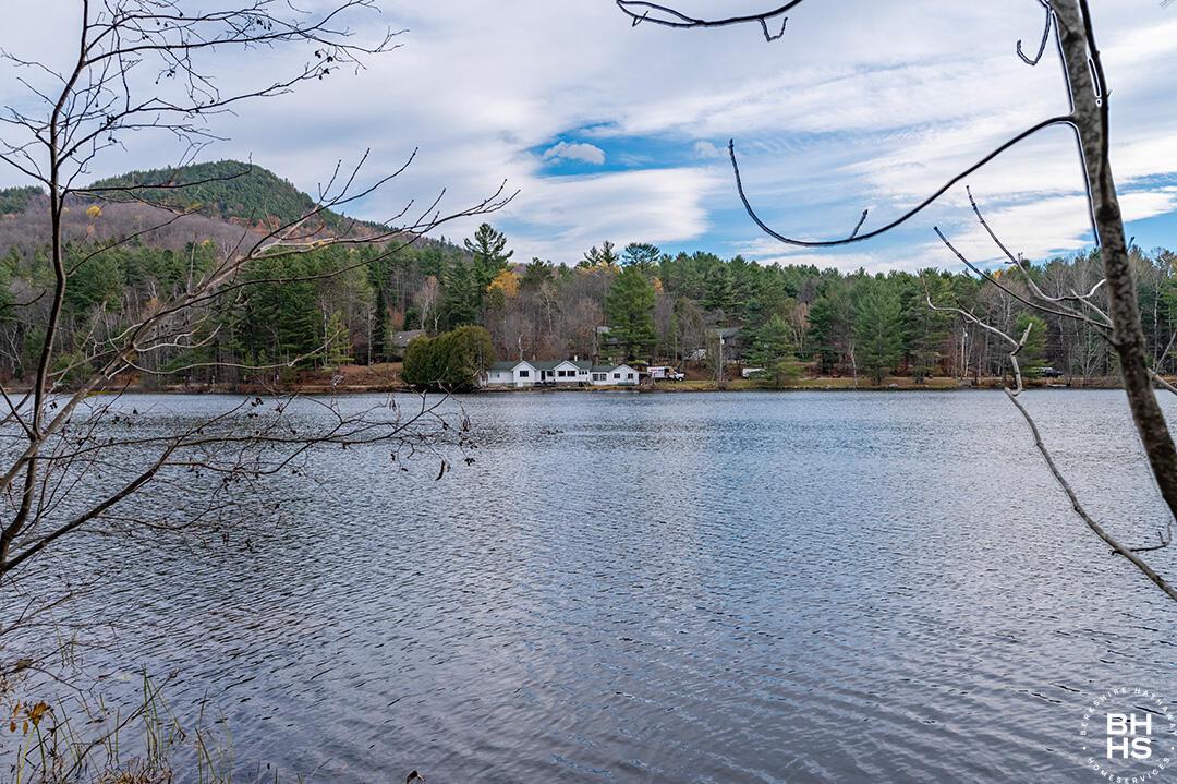 Image 2: SaranacLakeHomeOnForestHillAve_PS_View_M