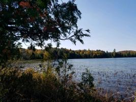 39 Pork Bay